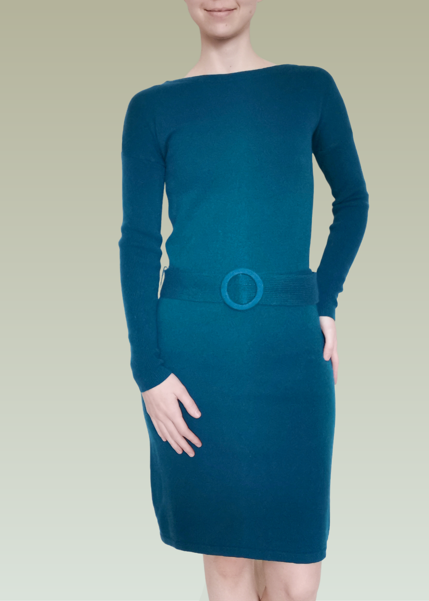 Lord & Taylor Wool & Cashmere Dress (XS)
