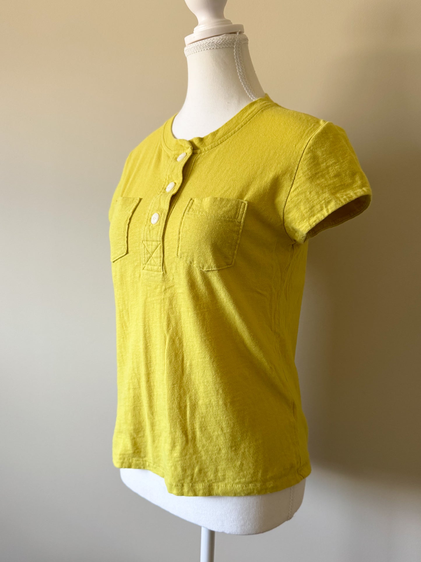 Everlane Cotton T-Shirt (S)