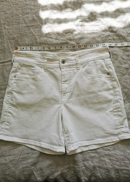 Pilcro and the Letterpress Slim Boyfriend Shorts (30)