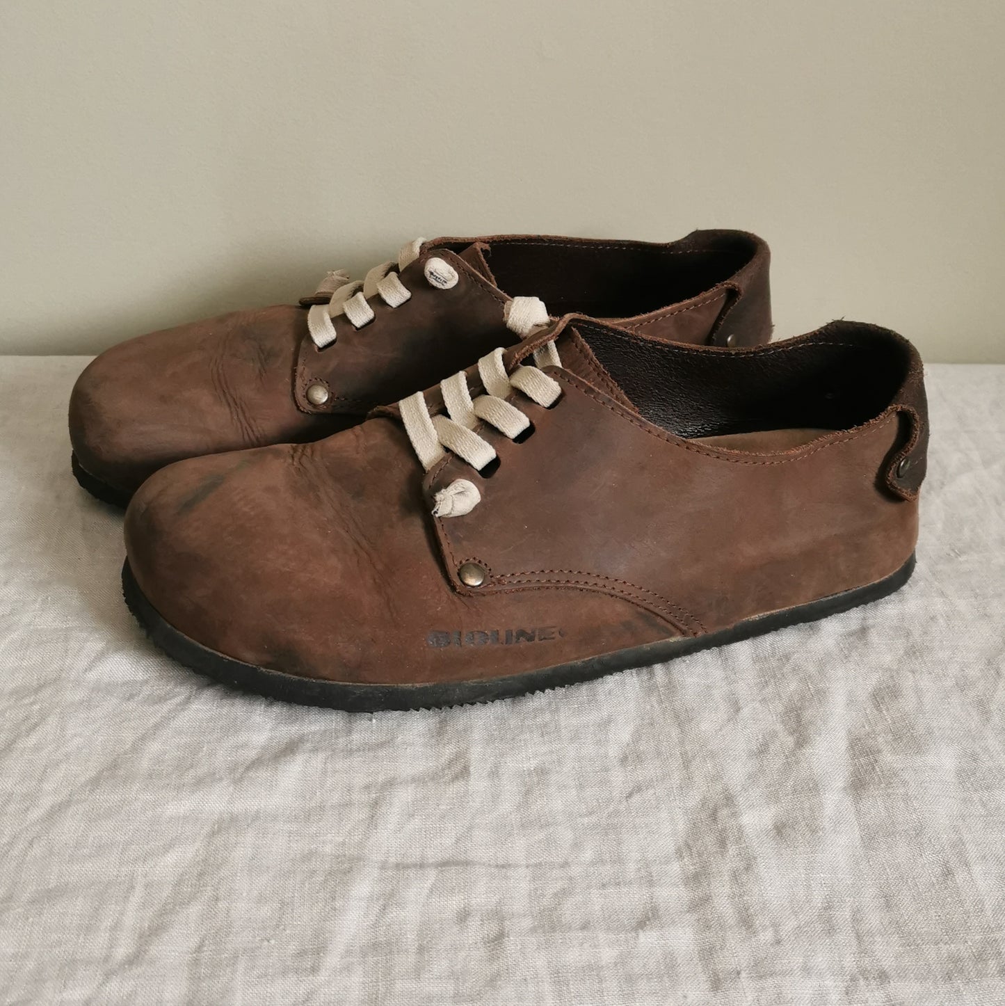 Bioline Leather Shoes (37)